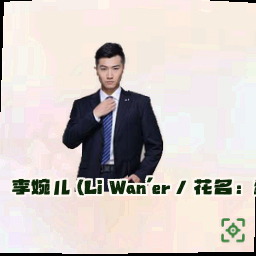 李婉儿 (Li Wan'er / 花名：资金锁匠)